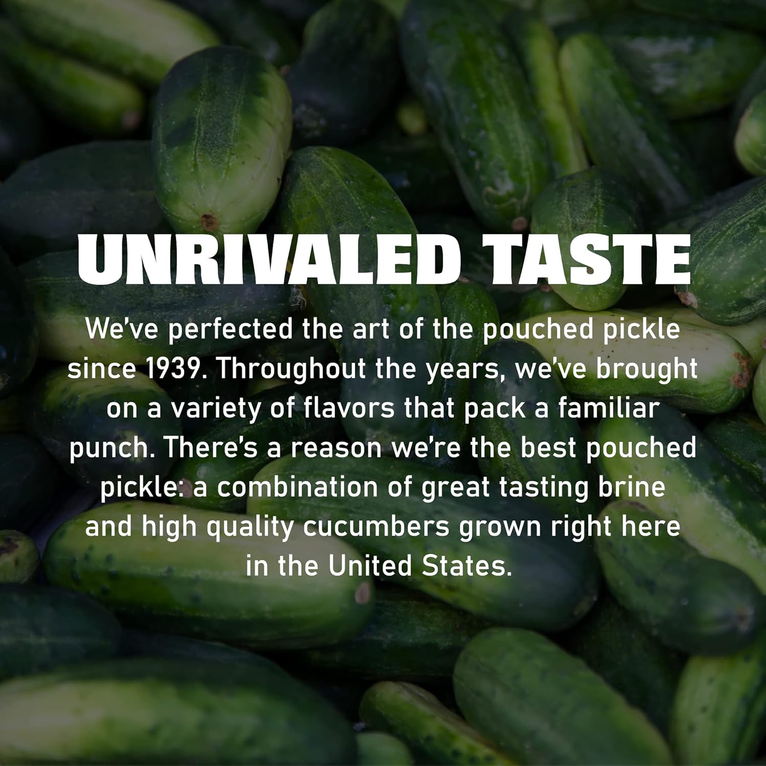 Mrs. Kleins Large Hot Pickles, Bold Spicy Dill Pickle Snack, Spicy Giant Dill Pickles Made with Natural Ingredients, Kosher, Low Carb, Gluten Free & Vegan