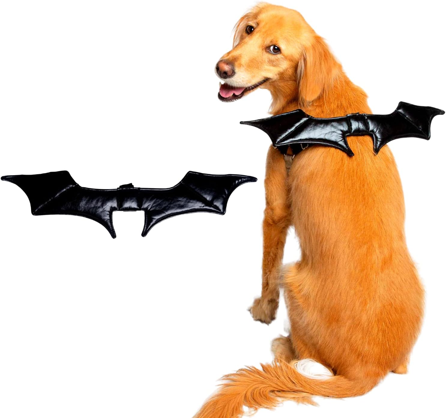 Dog wing outlet costume