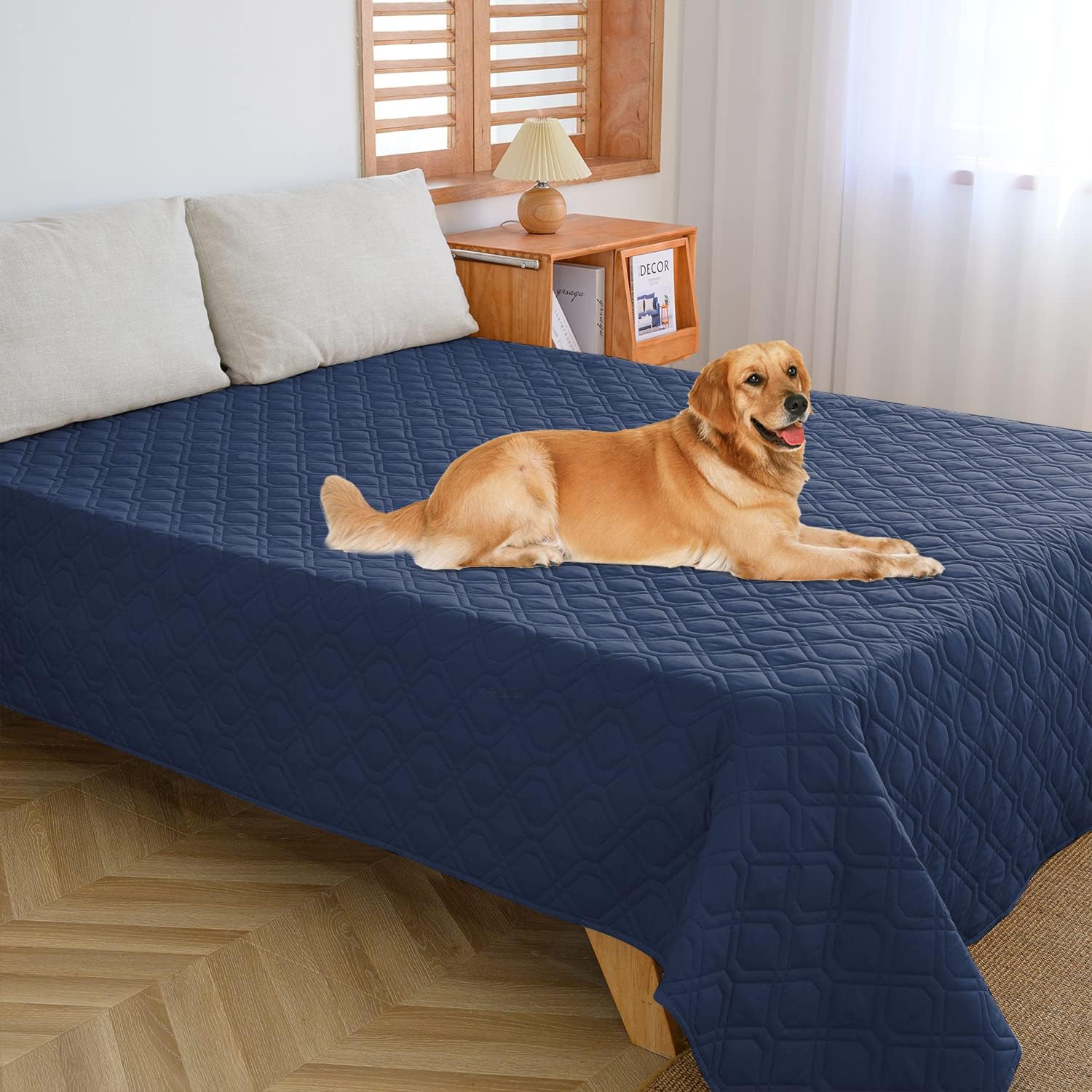 Waterproof Dog Bed Cover for Couch Protection Beige Kuwait Ubuy