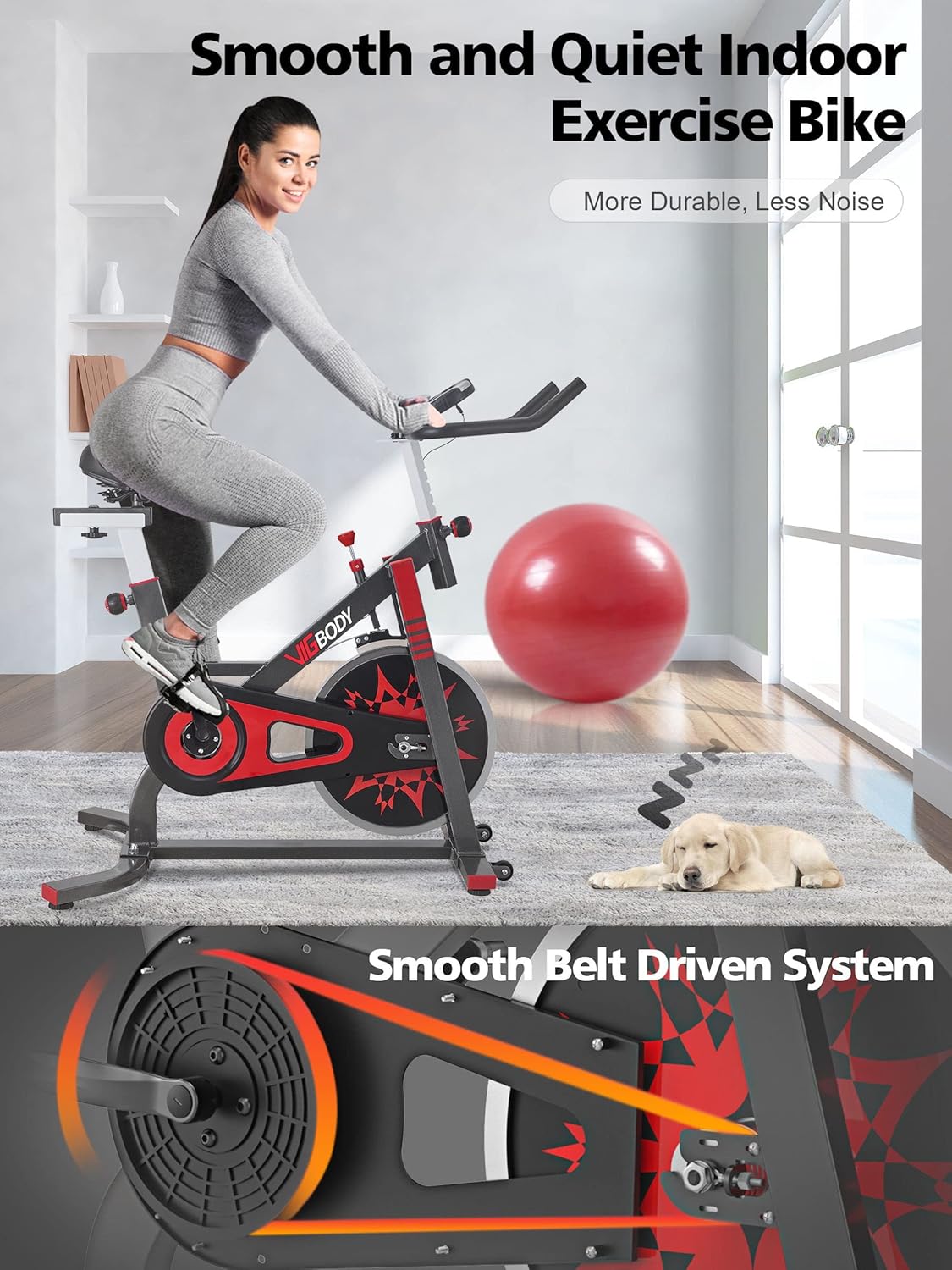 vigbody stationary bike