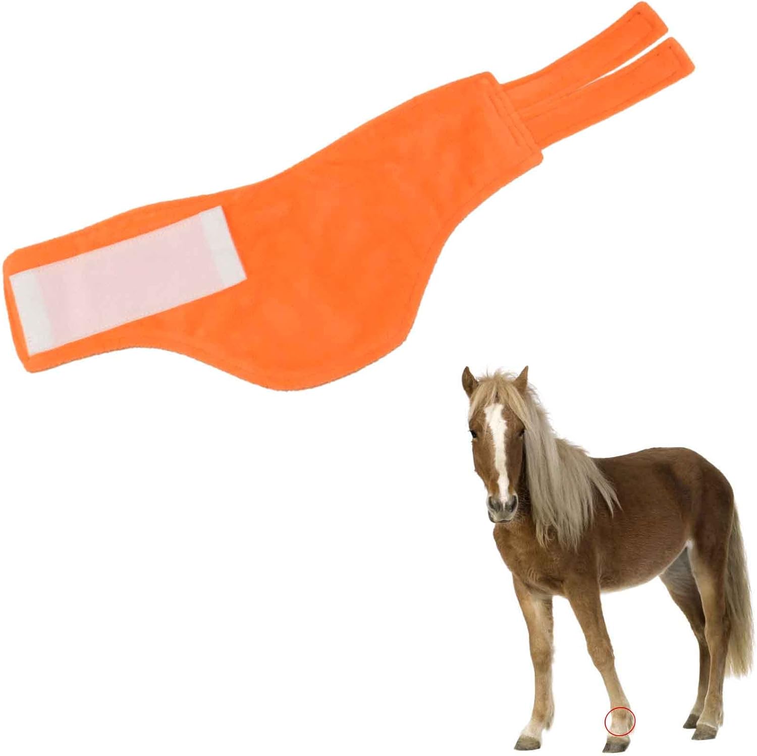 Fetlock shields shop