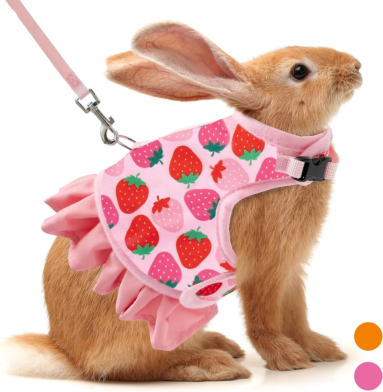 Rabbit walking harness best sale