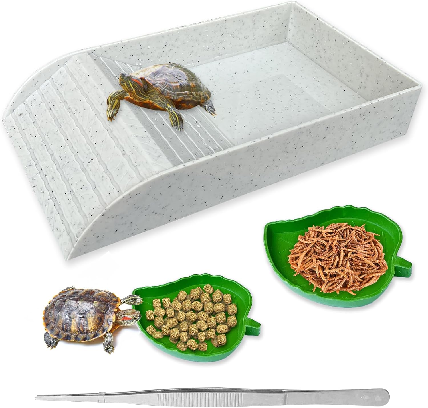Tortoise Feeding Dish with Ramp and Basking Platform Kenya Ubuy